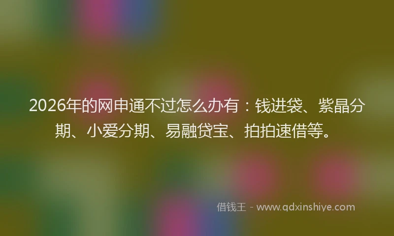 2026年的网申通不过怎么办有：钱进袋、紫晶分期、小爱分期、易融贷宝、拍拍速借等。