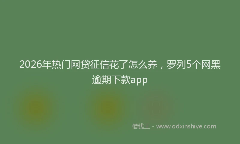 2026年热门网贷征信花了怎么养，罗列5个网黑逾期下款app