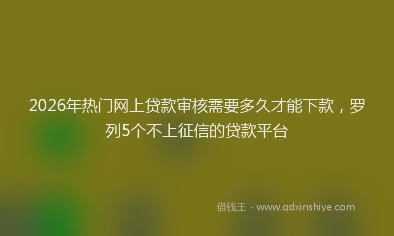 2026年热门网上贷款审核需要多久才能下款，罗列5个不上征信的贷款平台