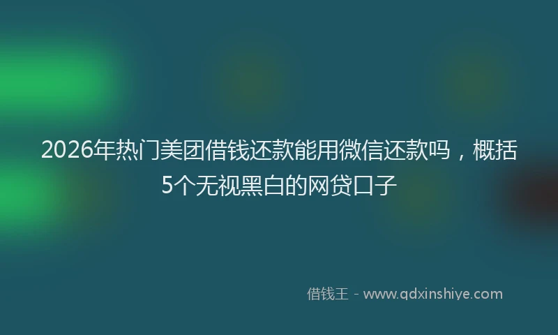 2026年热门美团借钱还款能用微信还款吗,概括5个无视黑白的网贷口子