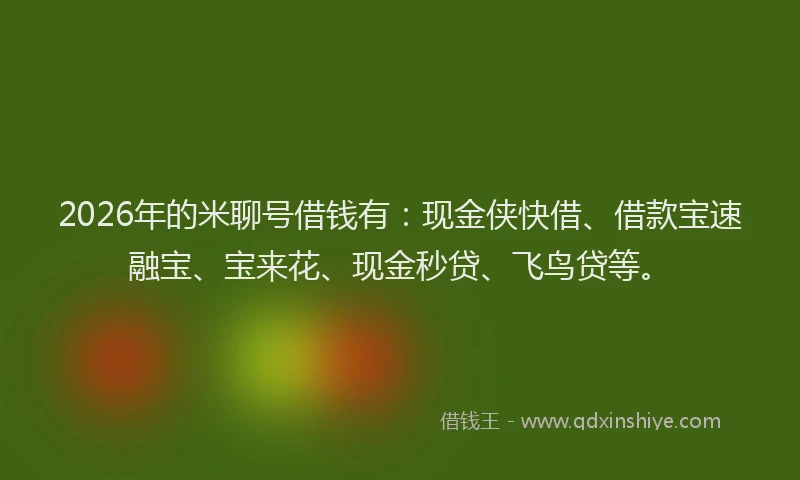 2026年的米聊号借钱有：现金侠快借、借款宝速融宝、宝来花、现金秒贷、飞鸟贷等。