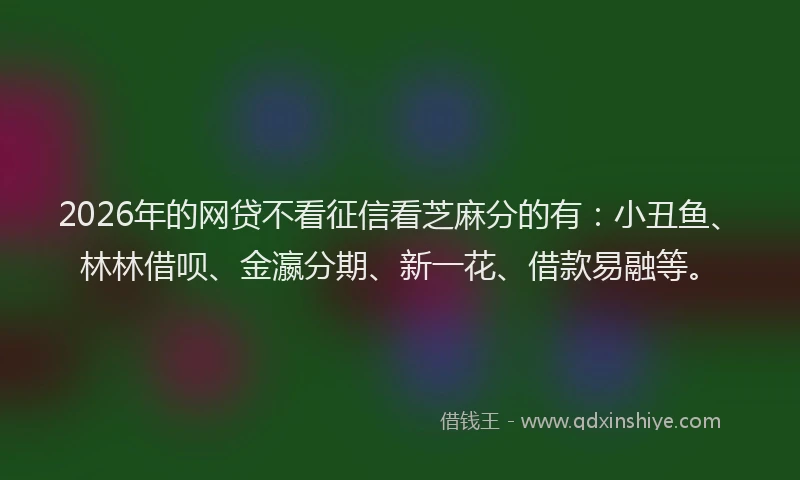 2026年的网贷不看征信看芝麻分的有：小丑鱼、林林借呗、金瀛分期、新一花、借款易融等。