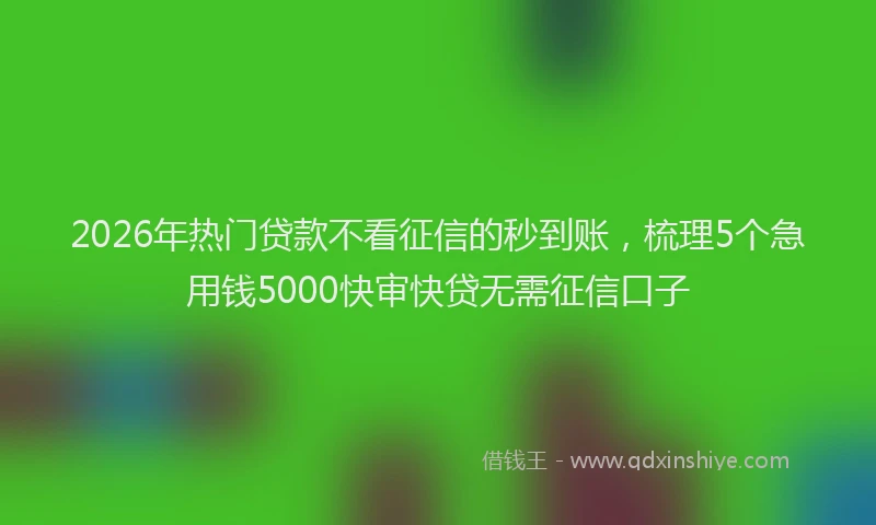 2026年热门贷款不看征信的秒到账，梳理5个急用钱5000快审快贷无需征信口子