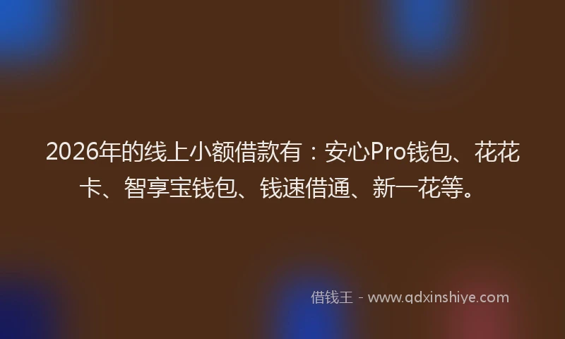 2026年的线上小额借款有：安心Pro钱包、花花卡、智享宝钱包、钱速借通、新一花等。