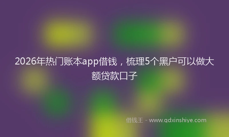 2026年热门账本app借钱，梳理5个黑户可以做大额贷款口子