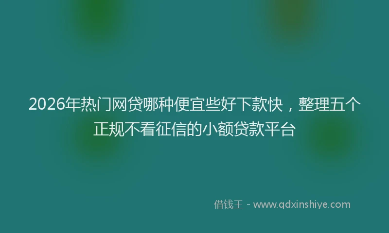 2026年热门网贷哪种便宜些好下款快，整理五个正规不看征信的小额贷款平台