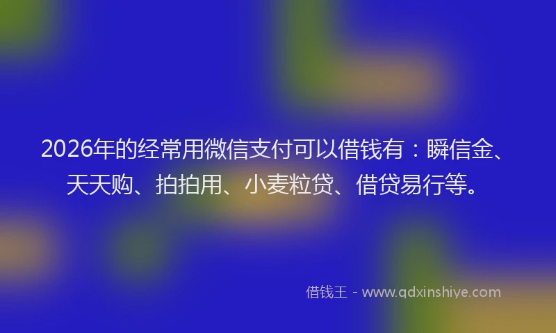 2026年的经常用微信支付可以借钱有：瞬信金、天天购、拍拍用、小麦粒贷、借贷易行等。
