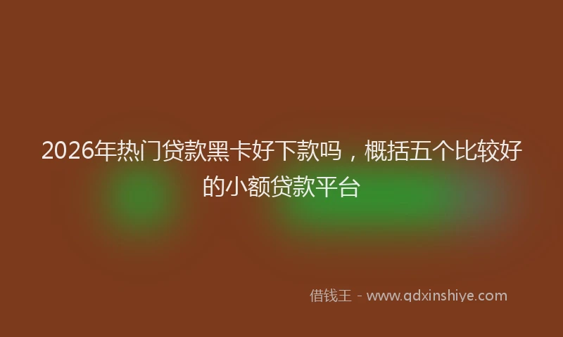 2026年热门贷款黑卡好下款吗，概括五个比较好的小额贷款平台