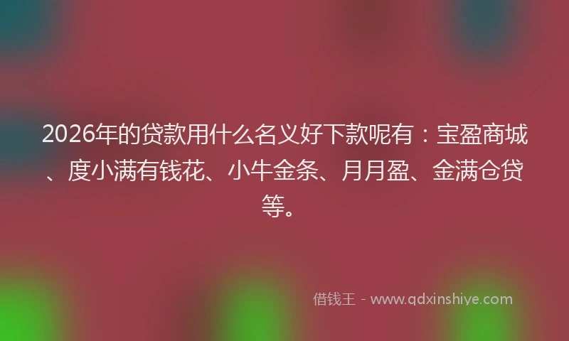 2026年的贷款用什么名义好下款呢有：宝盈商城、度小满有钱花、小牛金条、月月盈、金满仓贷等。
