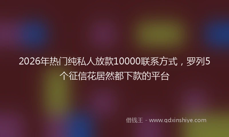 2026年热门纯私人放款10000联系方式，罗列5个征信花居然都下款的平台