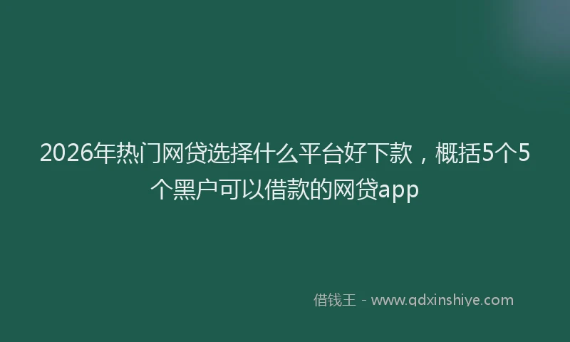 2026年热门网贷选择什么平台好下款，概括5个5个黑户可以借款的网贷app