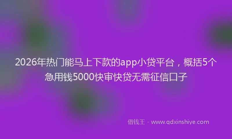 2026年热门能马上下款的app小贷平台，概括5个急用钱5000快审快贷无需征信口子