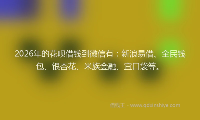 2026年的花呗借钱到微信有：新浪易借、全民钱包、银杏花、米族金融、宜口袋等。
