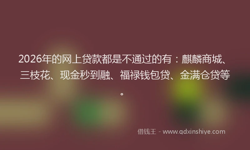 2026年的网上贷款都是不通过的有：麒麟商城、三枝花、现金秒到融、福禄钱包贷、金满仓贷等。