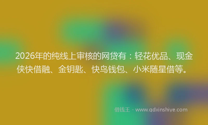 2026年的纯线上审核的网贷有：轻花优品、现金侠快借融、金钥匙、快鸟钱包、小米随星借等。