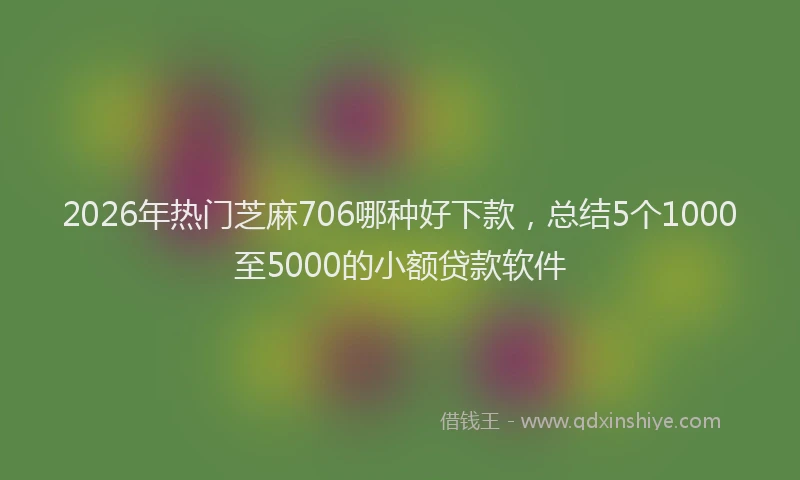 2026年热门芝麻706哪种好下款，总结5个1000至5000的小额贷款软件