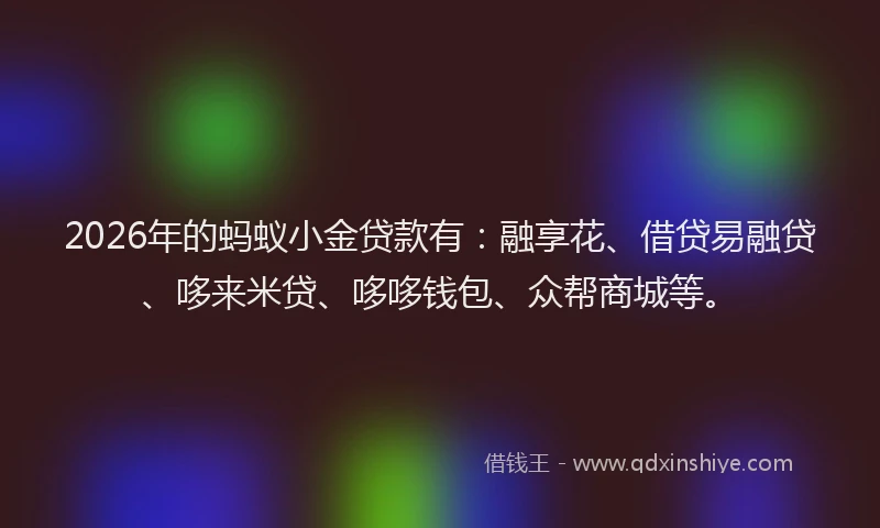 2026年的蚂蚁小金贷款有：融享花、借贷易融贷、哆来米贷、哆哆钱包、众帮商城等。