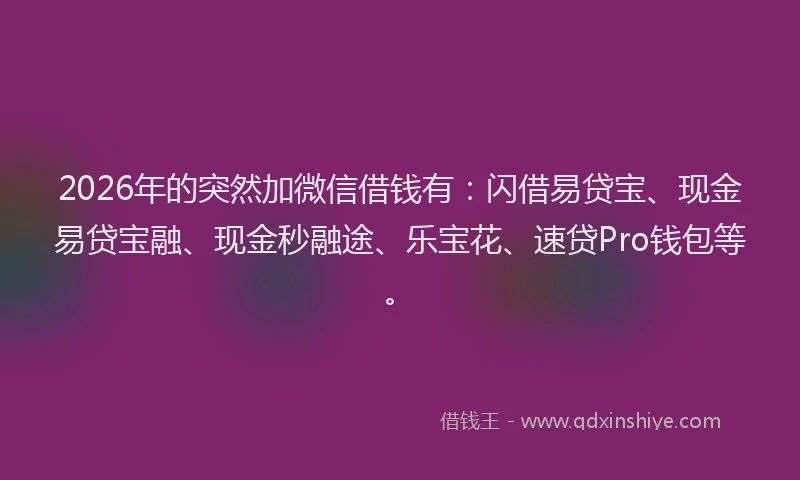 2026年的突然加微信借钱有：闪借易贷宝、现金易贷宝融、现金秒融途、乐宝花、速贷Pro钱包等。