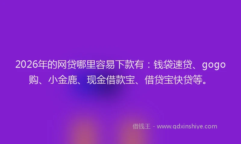 2026年的网贷哪里容易下款有：钱袋速贷、gogo购、小金鹿、现金借款宝、借贷宝快贷等。