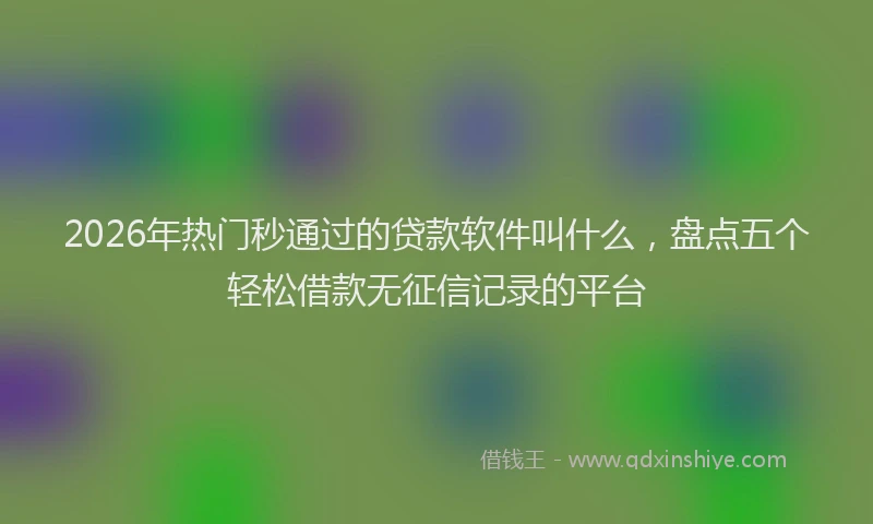 2026年热门秒通过的贷款软件叫什么，盘点五个轻松借款无征信记录的平台