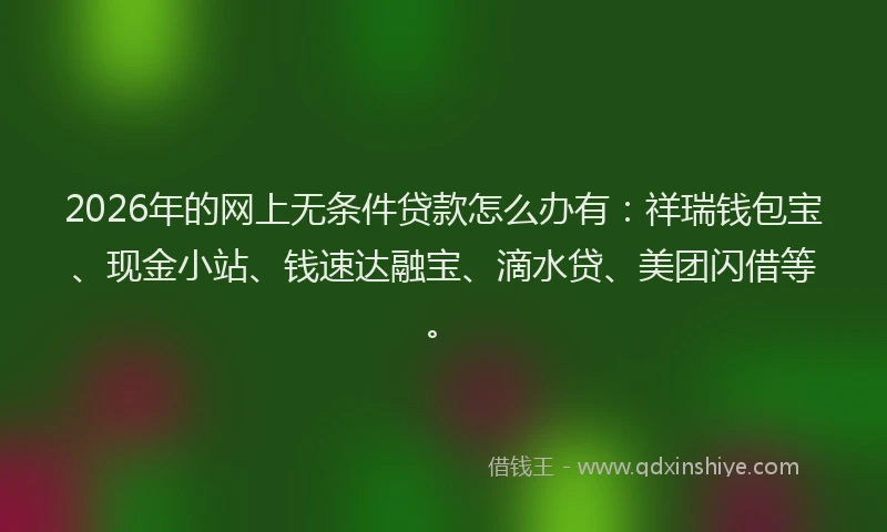 2026年的网上无条件贷款怎么办有：祥瑞钱包宝、现金小站、钱速达融宝、滴水贷、美团闪借等。