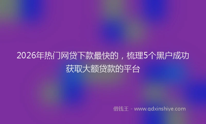 2026年热门网贷下款最快的，梳理5个黑户成功获取大额贷款的平台