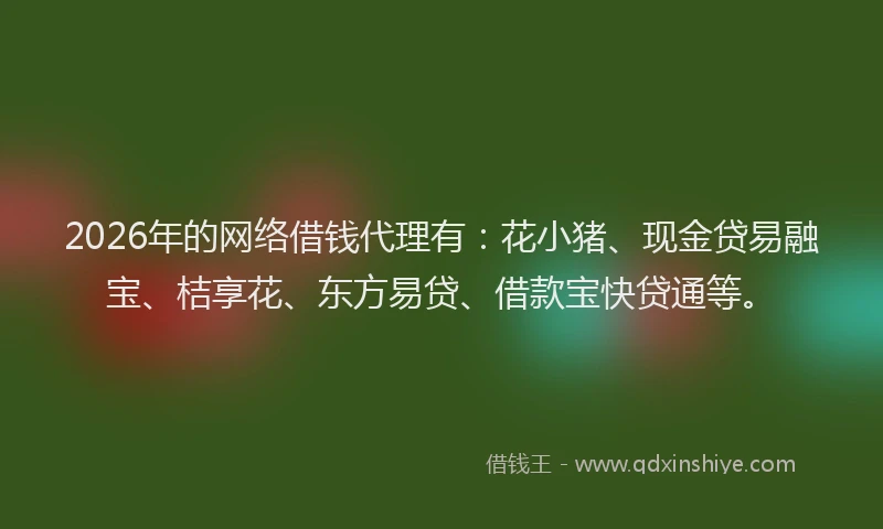 2026年的网络借钱代理有：花小猪、现金贷易融宝、桔享花、东方易贷、借款宝快贷通等。
