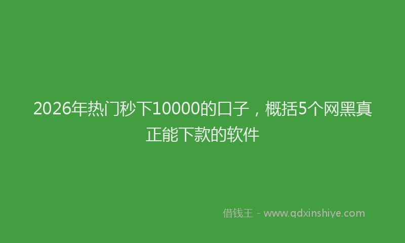 2026年热门秒下10000的口子，概括5个网黑真正能下款的软件