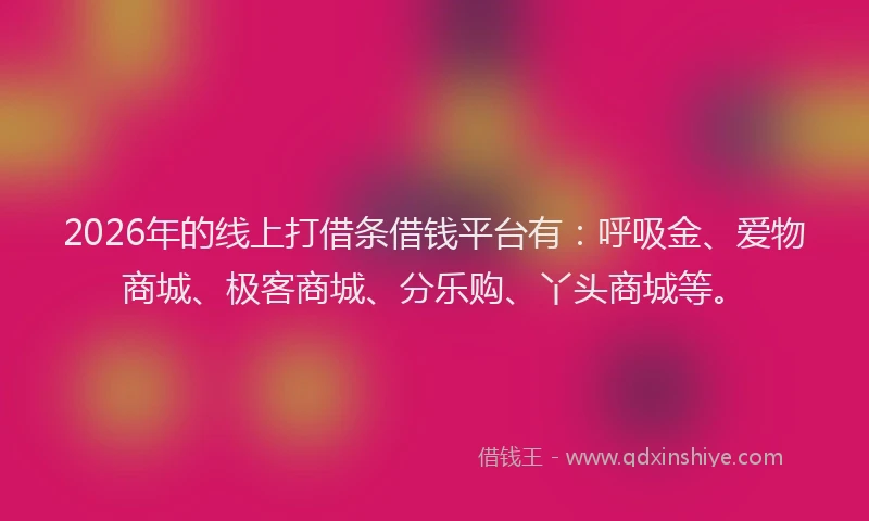 2026年的线上打借条借钱平台有：呼吸金、爱物商城、极客商城、分乐购、丫头商城等。
