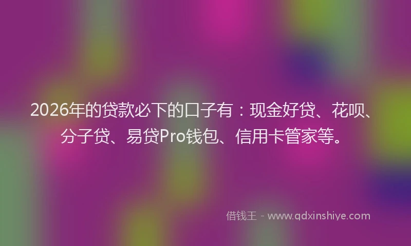 2026年的贷款必下的口子有：现金好贷、花呗、分子贷、易贷Pro钱包、信用卡管家等。
