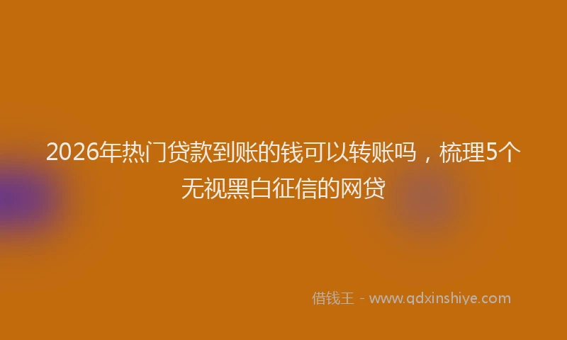 2026年热门贷款到账的钱可以转账吗,梳理5个无视黑白征信的网贷