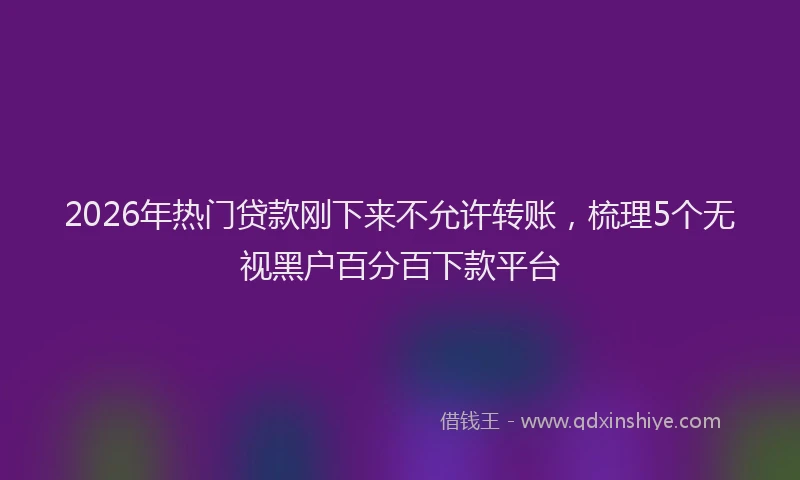 2026年热门贷款刚下来不允许转账，梳理5个无视黑户百分百下款平台