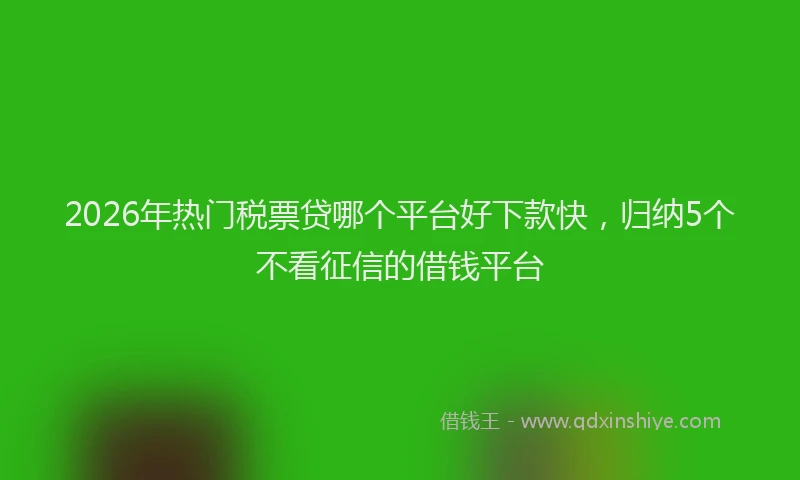 2026年热门税票贷哪个平台好下款快，归纳5个不看征信的借钱平台