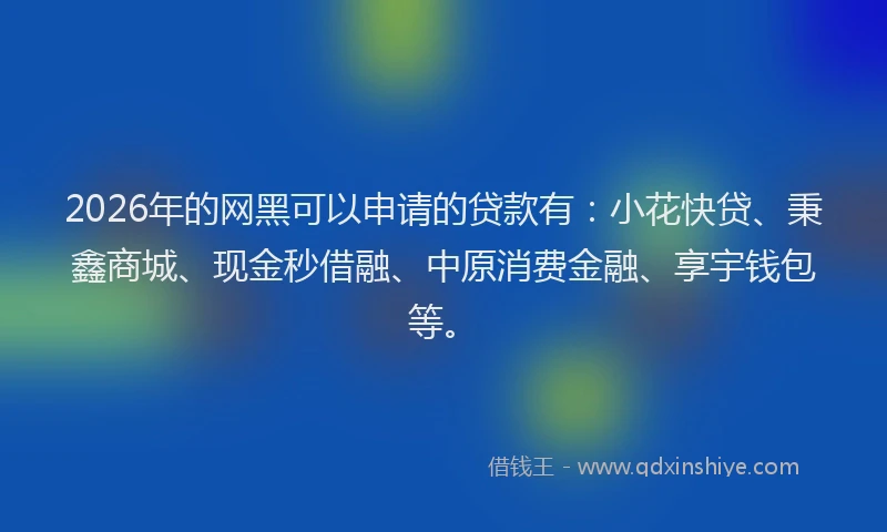 2026年的网黑可以申请的贷款有：小花快贷、秉鑫商城、现金秒借融、中原消费金融、享宇钱包等。