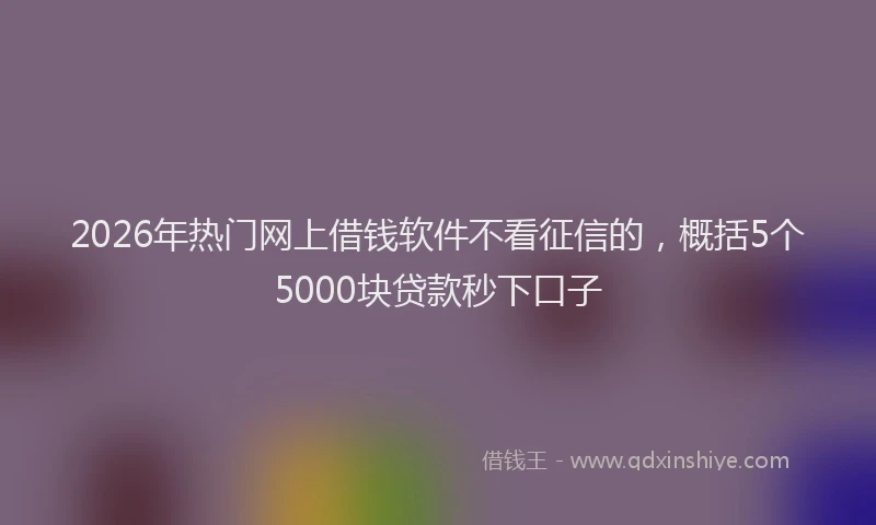 2026年热门网上借钱软件不看征信的，概括5个5000块贷款秒下口子