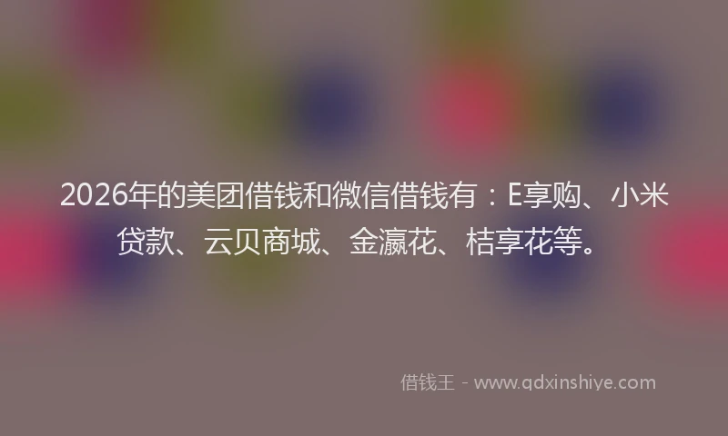 2026年的美团借钱和微信借钱有：E享购、小米贷款、云贝商城、金瀛花、桔享花等。