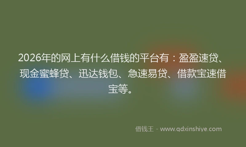 2026年的网上有什么借钱的平台有：盈盈速贷、现金蜜蜂贷、迅达钱包、急速易贷、借款宝速借宝等。