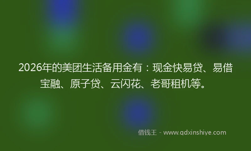 2026年的美团生活备用金有：现金快易贷、易借宝融、原子贷、云闪花、老哥租机等。