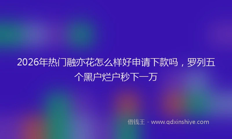 2026年热门融亦花怎么样好申请下款吗，罗列五个黑户烂户秒下一万