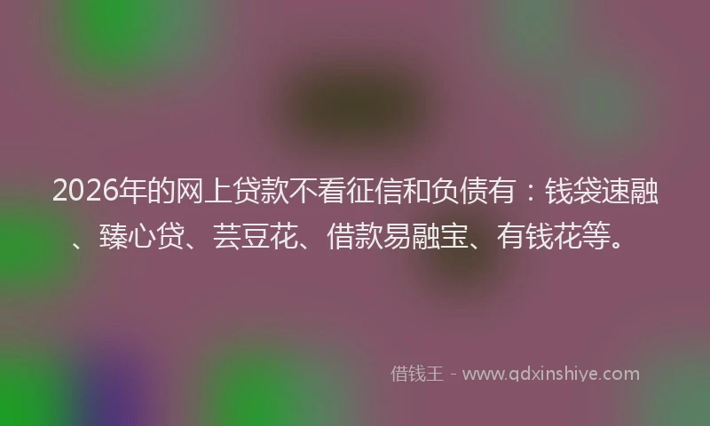2026年的网上贷款不看征信和负债有:钱袋速融、臻心贷、芸豆花、借款易融宝、有钱花等。