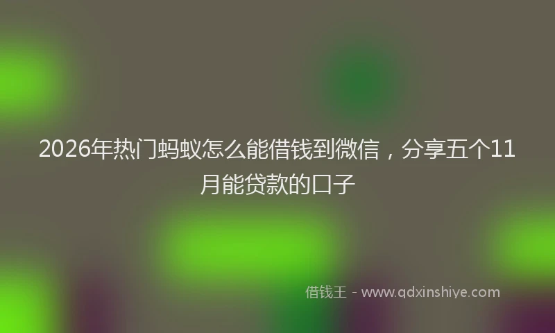 2026年热门蚂蚁怎么能借钱到微信，分享五个11月能贷款的口子