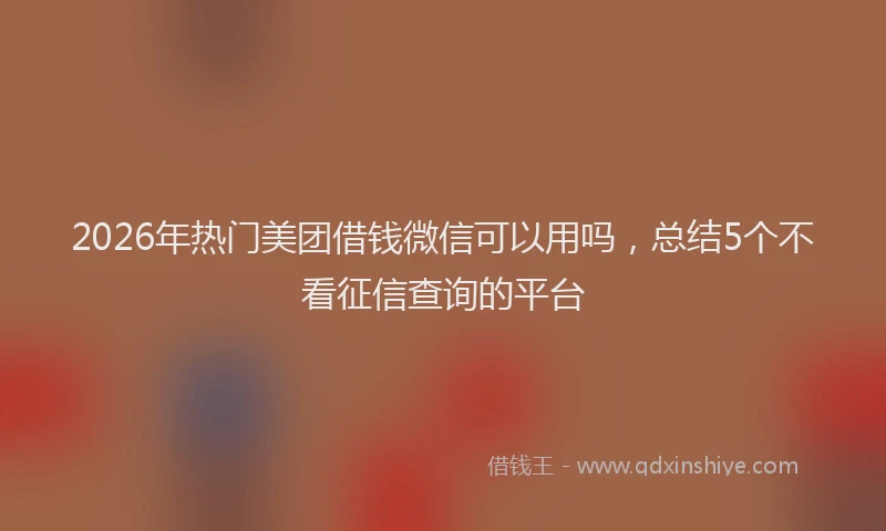 2026年热门美团借钱微信可以用吗，总结5个不看征信查询的平台