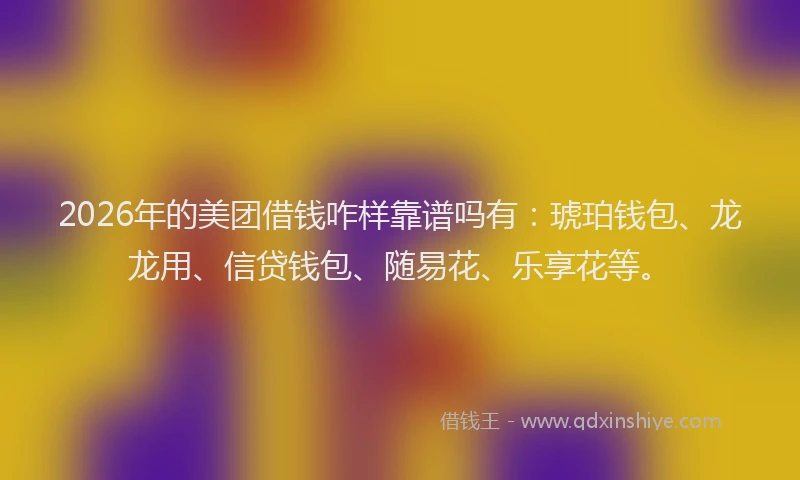 2026年的美团借钱咋样靠谱吗有：琥珀钱包、龙龙用、信贷钱包、随易花、乐享花等。