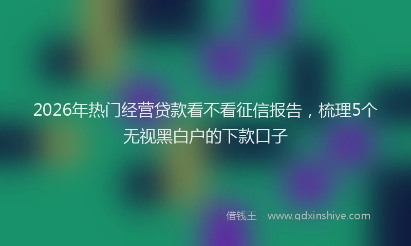 2026年热门经营贷款看不看征信报告，梳理5个无视黑白户的下款口子