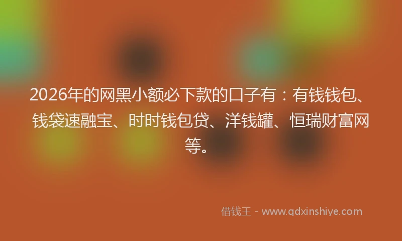 2026年的网黑小额必下款的口子有：有钱钱包、钱袋速融宝、时时钱包贷、洋钱罐、恒瑞财富网等。