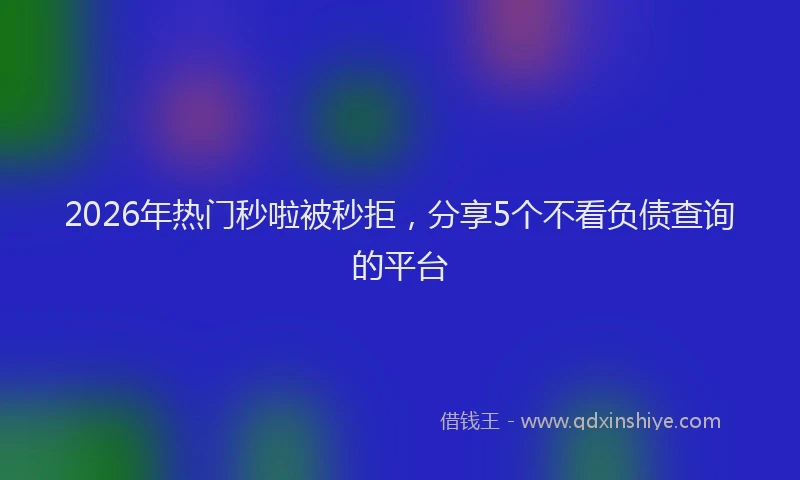 2026年热门秒啦被秒拒，分享5个不看负债查询的平台