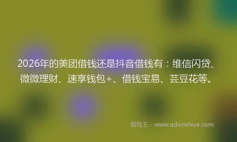 2026年的美团借钱还是抖音借钱有:维信闪贷、微微理财、速享钱包+、借钱宝易、芸豆花等。