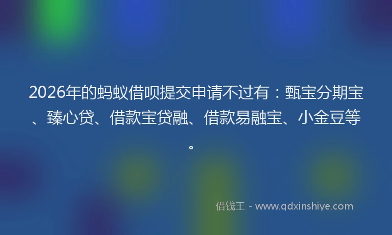 2026年的蚂蚁借呗提交申请不过有：甄宝分期宝、臻心贷、借款宝贷融、借款易融宝、小金豆等。