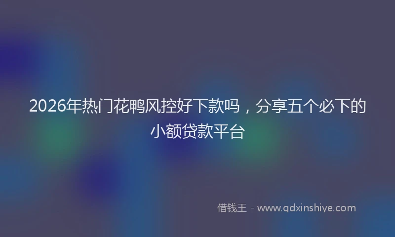 2026年热门花鸭风控好下款吗，分享五个必下的小额贷款平台