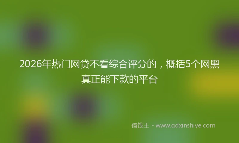 2026年热门网贷不看综合评分的，概括5个网黑真正能下款的平台